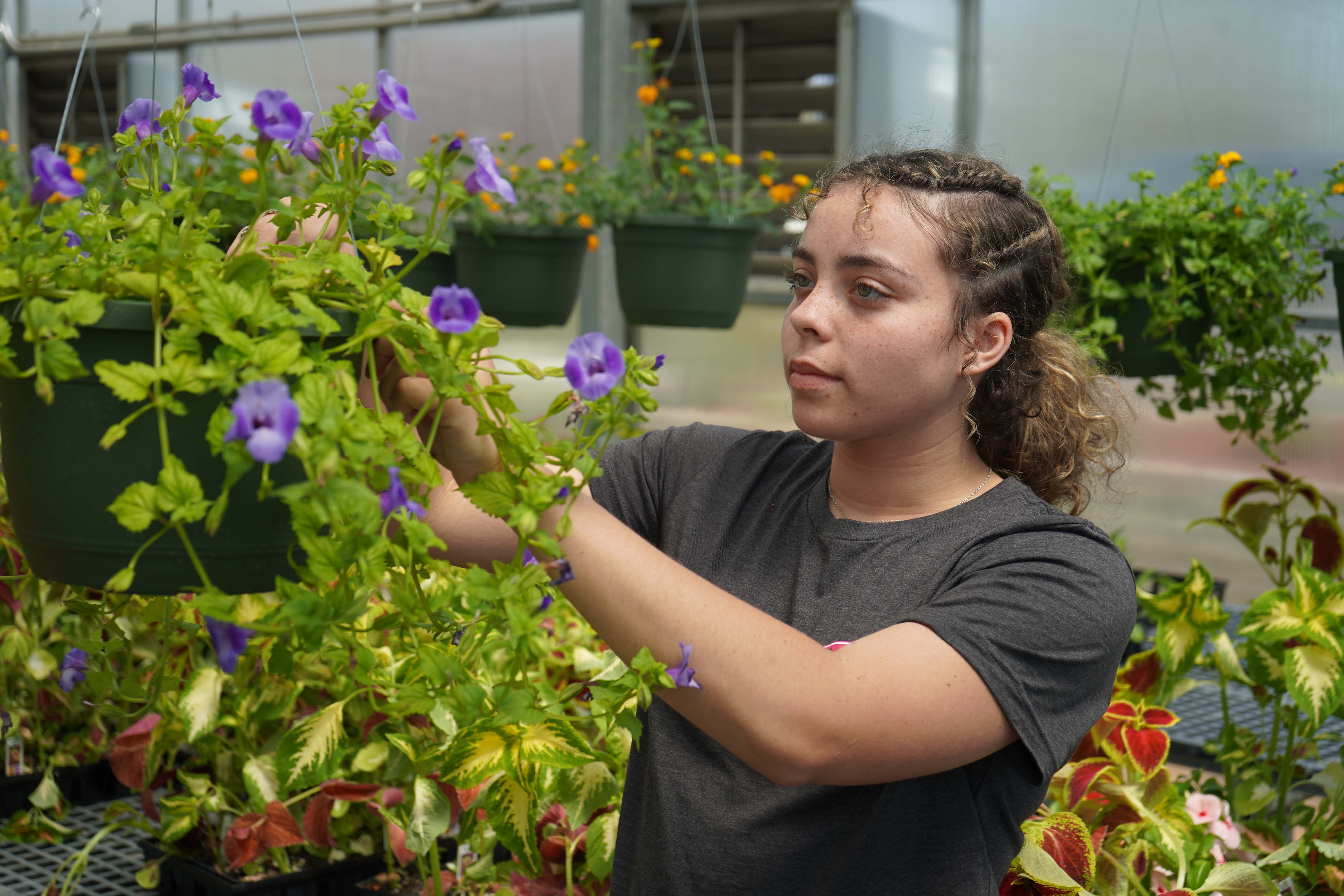 Shelby Madden, a GNTC Horticulture student from LaFayette, tends to plants during the annual Spring Plant Sale. Madden has a greenhouse and small-scale plant and vegetable farm; she is starting a business named “Maddhouse Farm.”