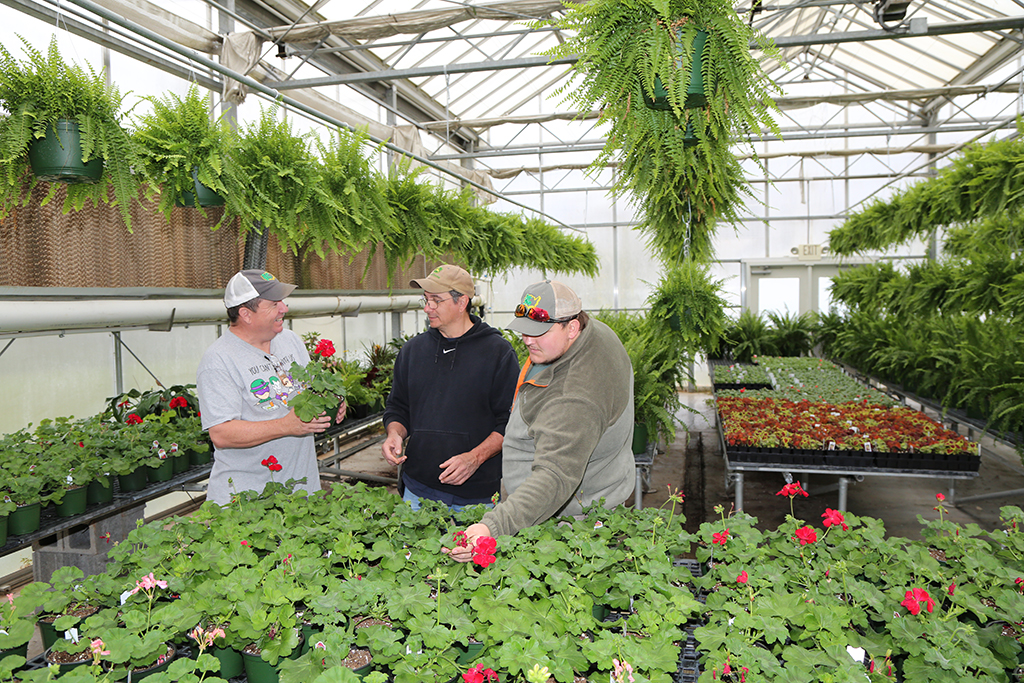Mark King (left) a resident of Fish Creek, Nick Barton (center) a resident of Summerville, and Justin Womack of Silver Creek inspect the geraniums that will be on sale at GNTC’s annual Spring Plant Sale, April 8-11.  