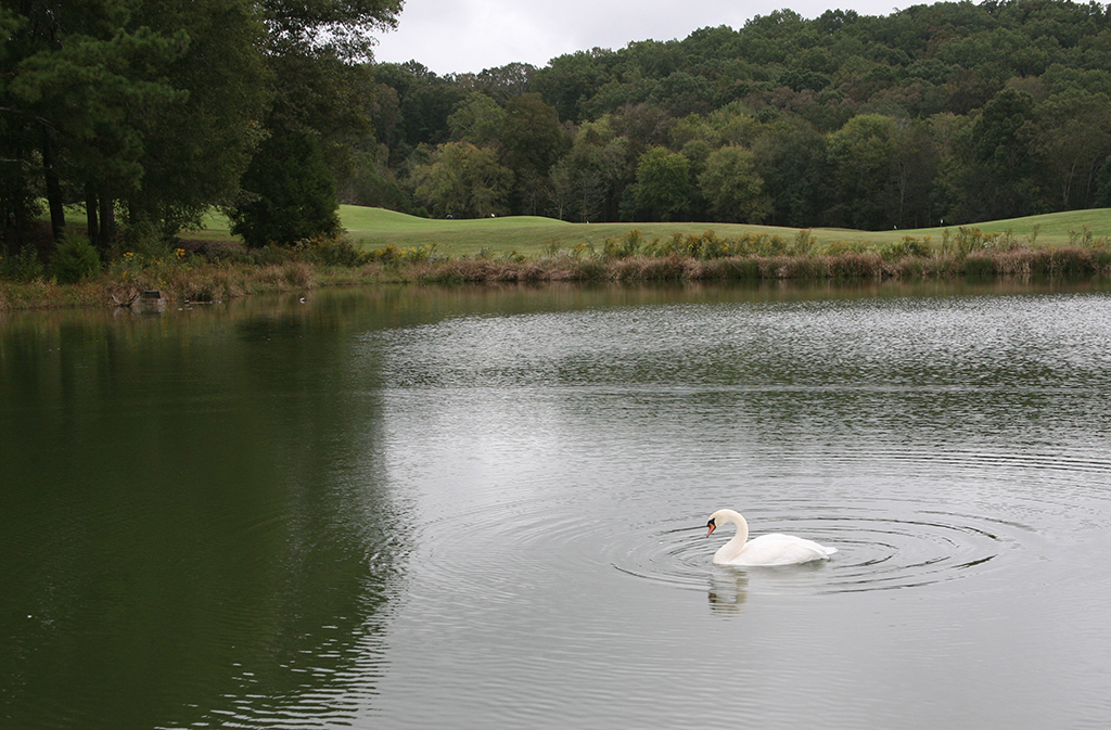 The 20th annual GNTC Foundation Golf Tournament was held at the picturesque Barnsley Resort in Adairsville.