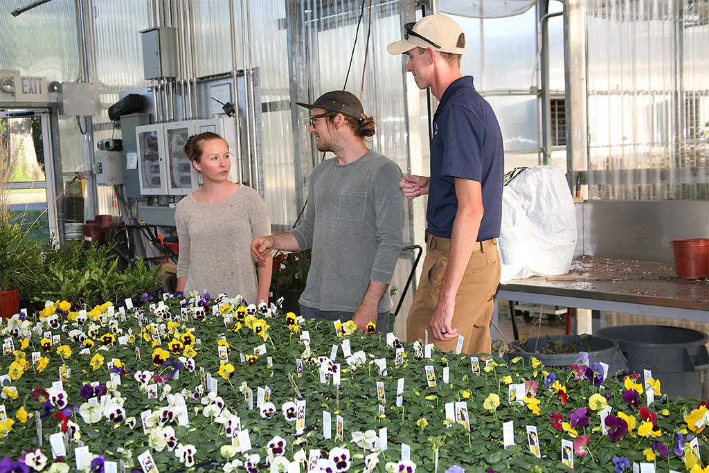 Rachel Braden of Plainville (left), Jeffrey King of Dalton (center), and Chase Bohannon of Calhoun (right) look over the pansies that will be available during GNTC’s Fall Shrub and Pansy Sale. Braden is the owner of Bella Vita Mushrooms, King is a landscape architect for Davis Designs & Landscape, and Bohannon is the owner of East Line Landscaping.