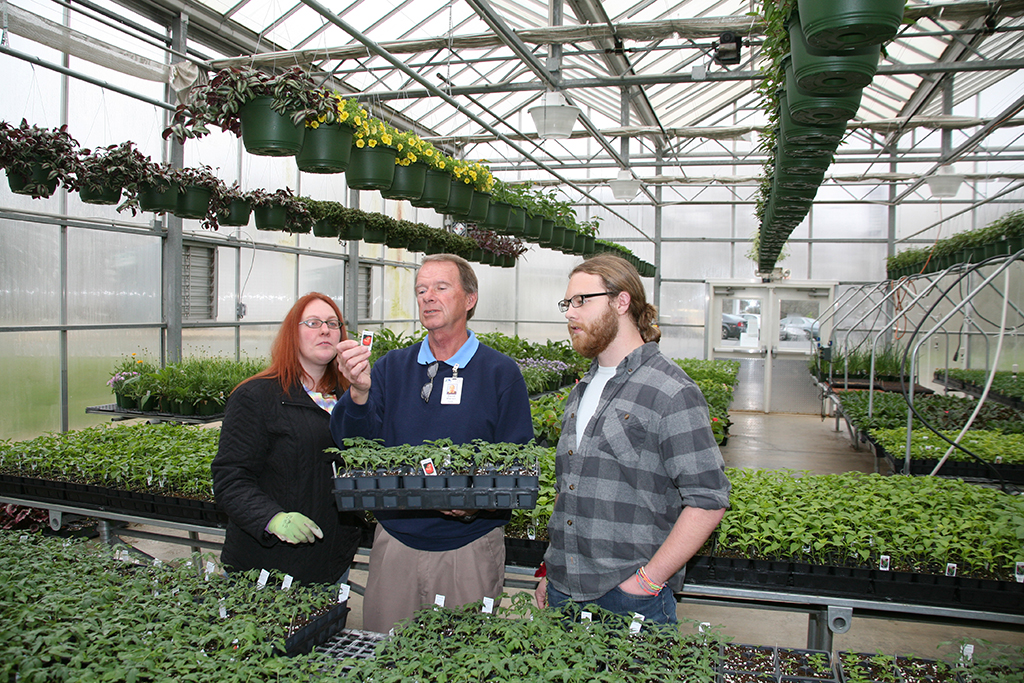 David Warren (center), director of GNTC’s Horticulture program, inspects tomato plants that will be a part of GNTC’s Spring Plant Sale with Shannon Bryant of Lafayette (left) and Morgan Lathem (right) of Chickamauga.
