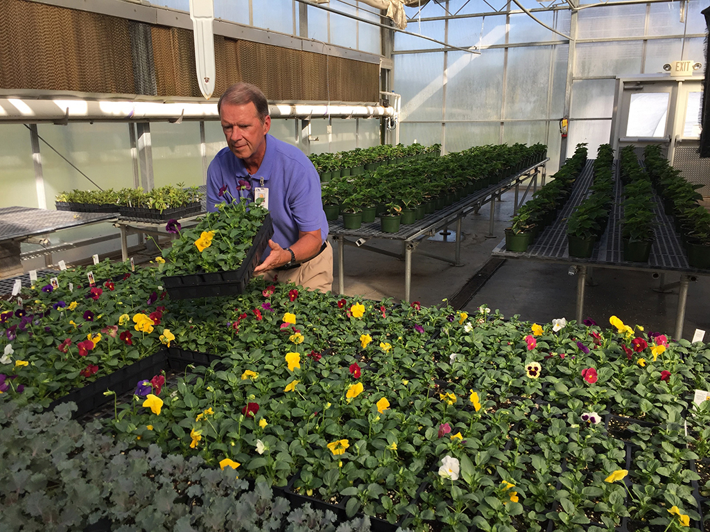 David Warren, program director and instructor of Horticulture at GNTC, at work in the Horticulture program’s greenhouse.