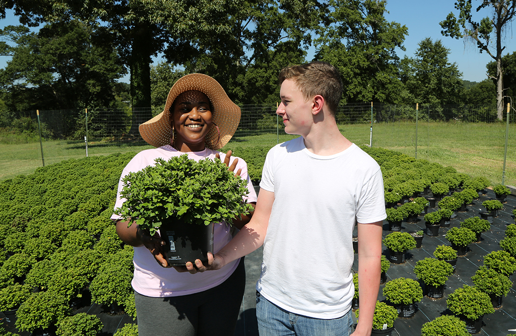 Hannah Nesbitt (left) of Rome and Luke Ingram (right) of Cedartown inspect one of the mums that will be for sale at GNTC on Sept. 17.