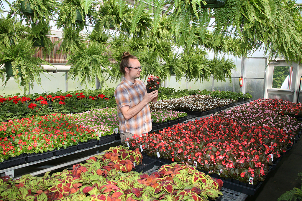 Jeffrey King of Rome of Rome inspects a plant that will be sold at GNTC’s Spring Plant Sale April 18-21.