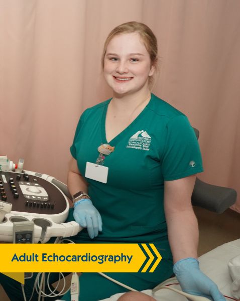 http://Adult%20Echocardiography