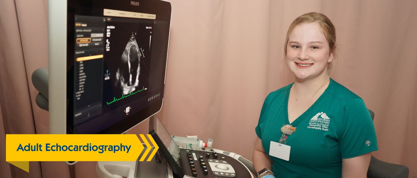 Adult Echocardiography