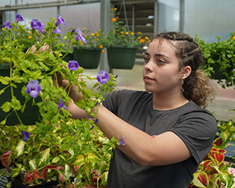 Horticulture