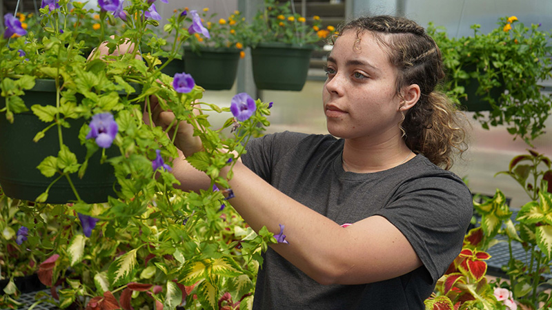 Shelby Madden, Horticulture student