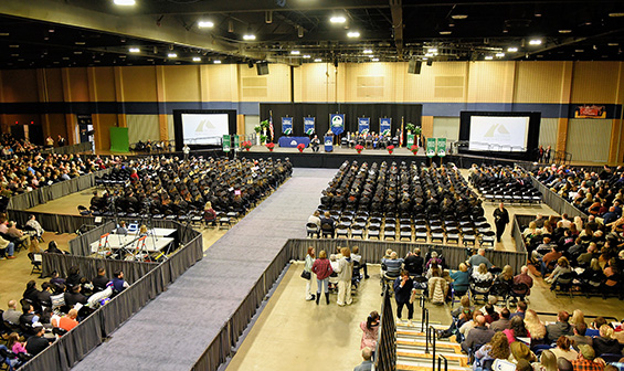 Graduation