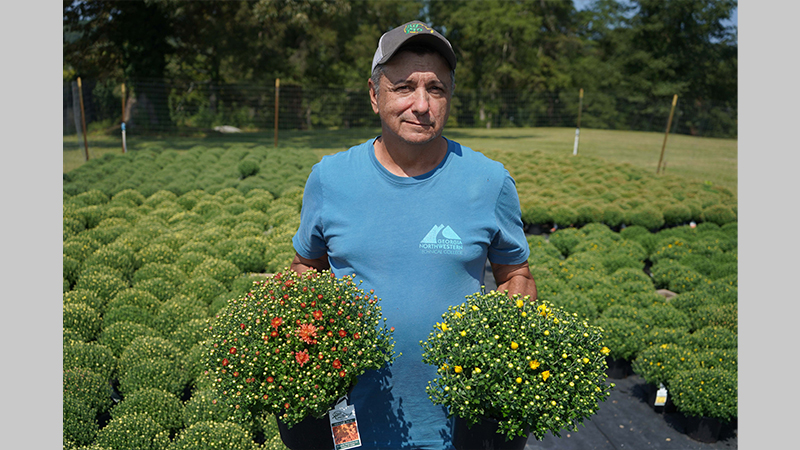 Nick Barton, director of Horticulture at GNTC, poses with the mums that will be on sale during the Fall Mum Sale