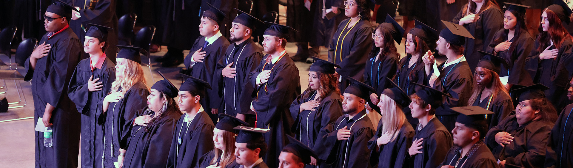 Graduates